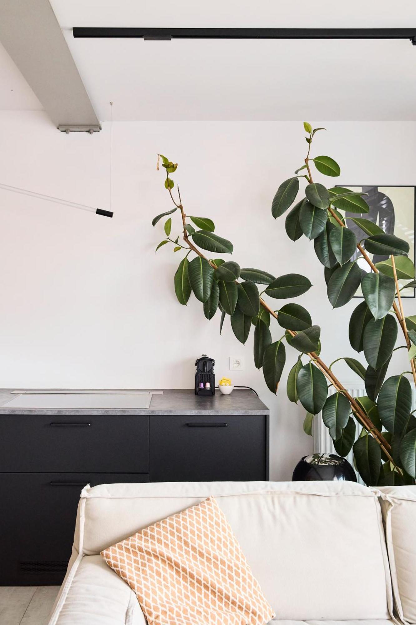 Appartamento The Banker Antwerpen - Free Parking Esterno foto
